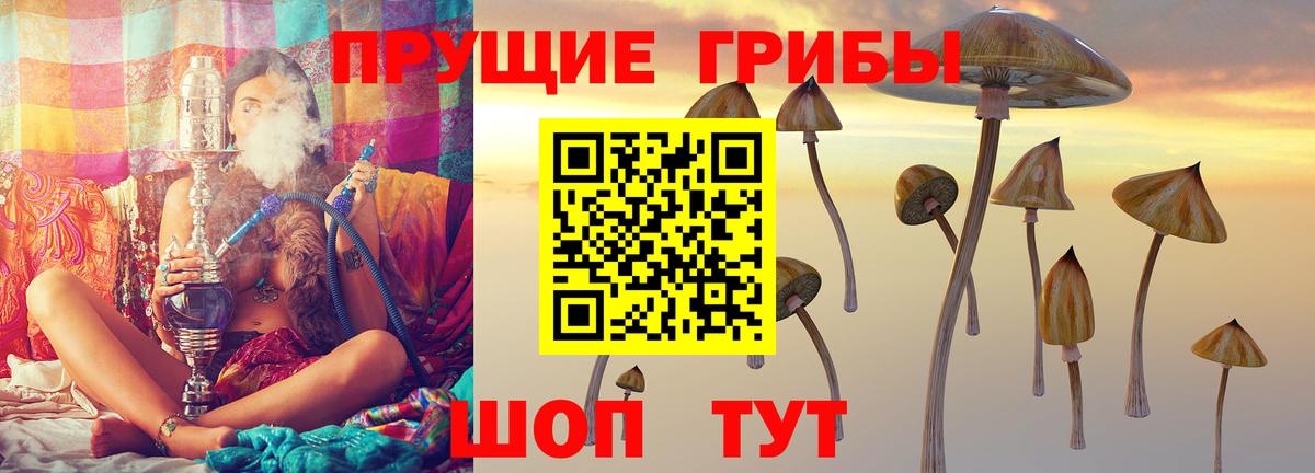 Псилоцибиновые грибы Psilocybine cubensis Коряжма